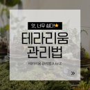 블루밍앤브러쉬