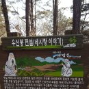 대전외삼중학교 Daum카페
