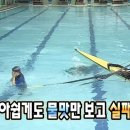 강타펜션 | 여유로운 너와 나 in Bohol (上)
