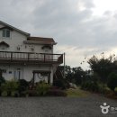 몽산포파인 이미지