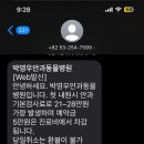 박영우안과동물병원 이미지