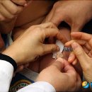 동해시-65 이미지