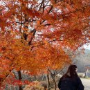 양평 용문사 : 템플스테이 휴식형 체험기 (+ 카페 도프커피)