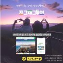 (주)정수사료 | [최신 후기 모음] 시드니 블루마운틴 투어 (페더데일 동물원 / 링컨스락 / 로라마을 / 에코포인트...