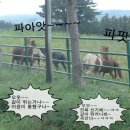 승엽목장 네이버블로그