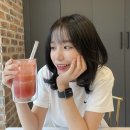엘미니 네이버블로그