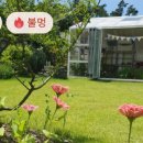 태봉골프연습장 이미지