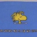 비발디투어 이미지