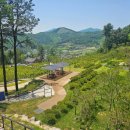 자연장지 이미지