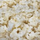 영호 | 맛있는쌀 단일품종 영호진미 오분도미 먹어본 솔직후기