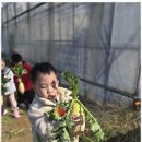 도담어린이집 이미지