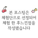 레푸스&아트포레 이미지