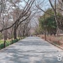 대왕암공원미로원화장실 이미지