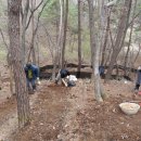 영심농장 이미지