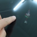 명품덴트칼라 이미지