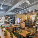 알토하임 이미지