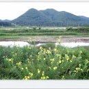 속리산둘레길 보은길3 이미지