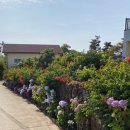 해거름길 이미지