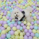 석촌유치원 이미지