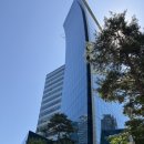 상암피부과 팔뚝 지방파괴주사 바이블주 후기 (지방분해주사 대신 DCA 윤곽주사 선택한 이유)
