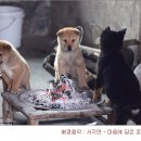전자담배베이핑스토리 이미지