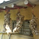 2011스케치 이미지