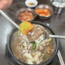 모림양과 이미지