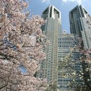 의료법인 안심의료재단 이미지