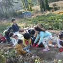 신의초등학교 병설유치원 이미지