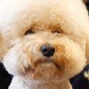 선미2농장 이미지