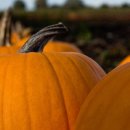 침묵속에피어나는우리 이미지