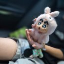 인형뽑기대왕 이미지