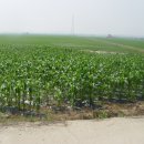 황금뜰농장 이미지