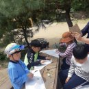 황룡초등학교 | 우리들자연학교 5월 8일 황룡초교 현장학습 후기