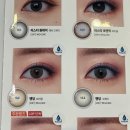 오렌즈(루미애체)압구정역점 이미지