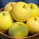 한정농장 이미지