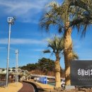 햇살과달빛