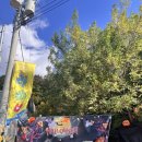 추억만들기 | 김포 노라바바| 할로윈 파티로 아이와 추억 만들기 대성공 후기