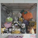 카페544 | 포천 애견카페 달뜨레 방문 후기