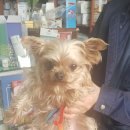 문경가축병원 이미지