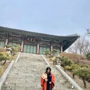 김밥학교 | 동국대 졸업스냅 내돈내산 후기｜김밥스냅 강력추천 (준비물, 촬영장소,꿀팁 총정리)