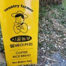 농부의마당맛집 | 강화도 시골농부쌀베이커리 카페 맛집 솔직후기