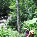 지리산 깊은골 이미지