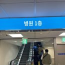 보라매대학약국 | 보라매 서울대병원 후기 주차, 대중교통정리!