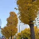 11545-11-99-22 | 한국의학연구소 부산 건강검진 후기 대기시간, 소요시간, 접수 층, 식권 토요일 방문 총정리