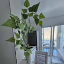 새소리펜션 이미지