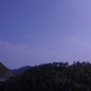 포시즌(4SEASONS) 이미지