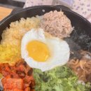 얌샘김밥세종정부