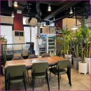 꾸어바666 이미지