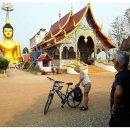 경험! 자전거 타고 유적지 탐험 Sukhothai Bicycle Tour Thailand 완벽 후기 강력추천, 평점5.0, 찐후기